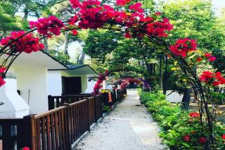 Camping Village Internazionale